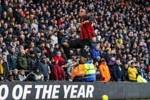 英超两连败！狼队0-2伯恩茅斯 克鲁皮、斯科特破门 樱桃近4轮3胜